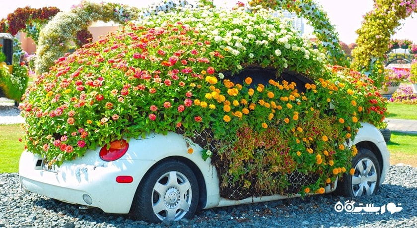  دبی میراکل گاردن شهر امارات متحده عربی کشور دبی