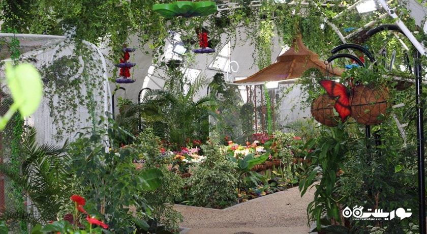  باغ پروانه دبی شهر امارات متحده عربی کشور دبی