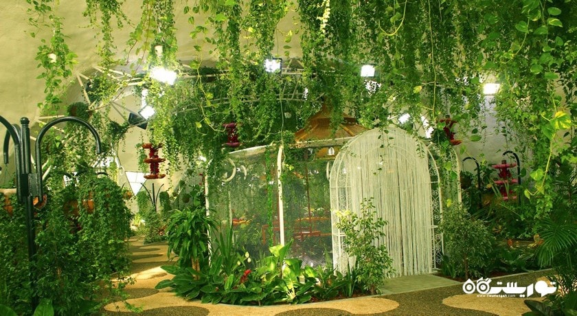  باغ پروانه دبی شهر امارات متحده عربی کشور دبی
