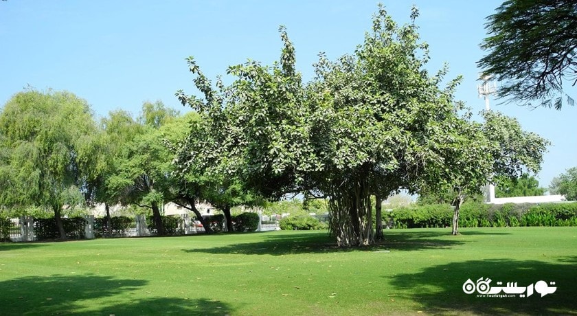 پارک صفا -  شهر دبی