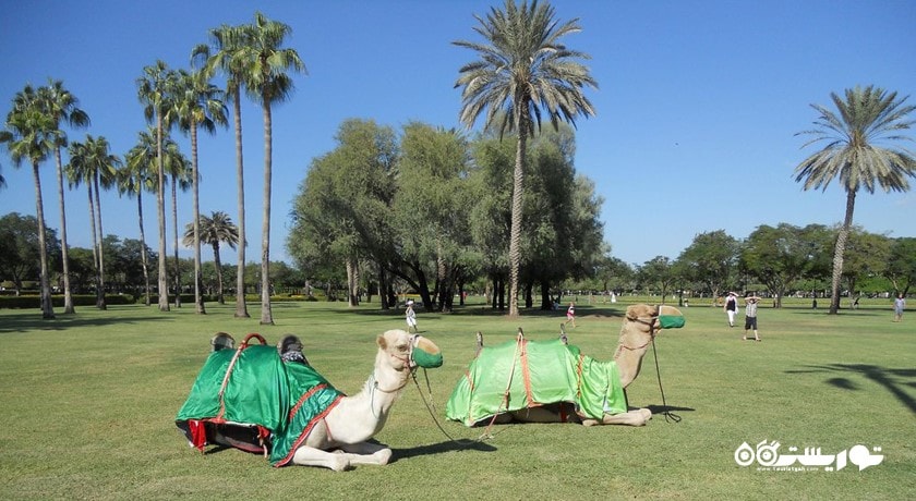  پارک صفا شهر امارات متحده عربی کشور دبی