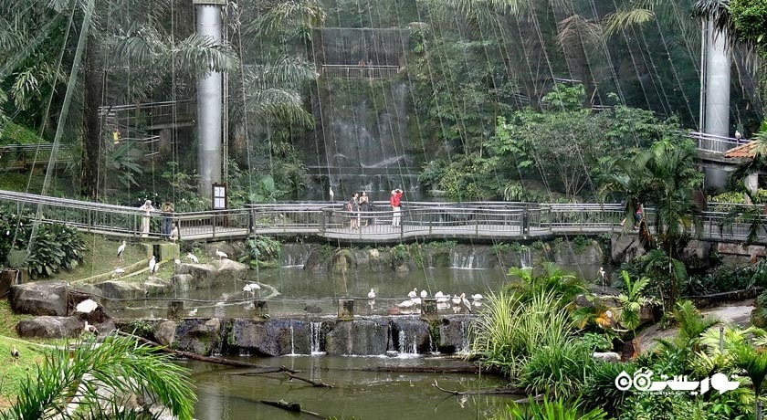 سرگرمی باغ پرندگان کوالالامپور شهر مالزی کشور کوالالامپور