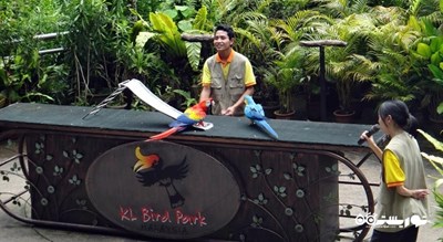 سرگرمی باغ پرندگان کوالالامپور شهر مالزی کشور کوالالامپور