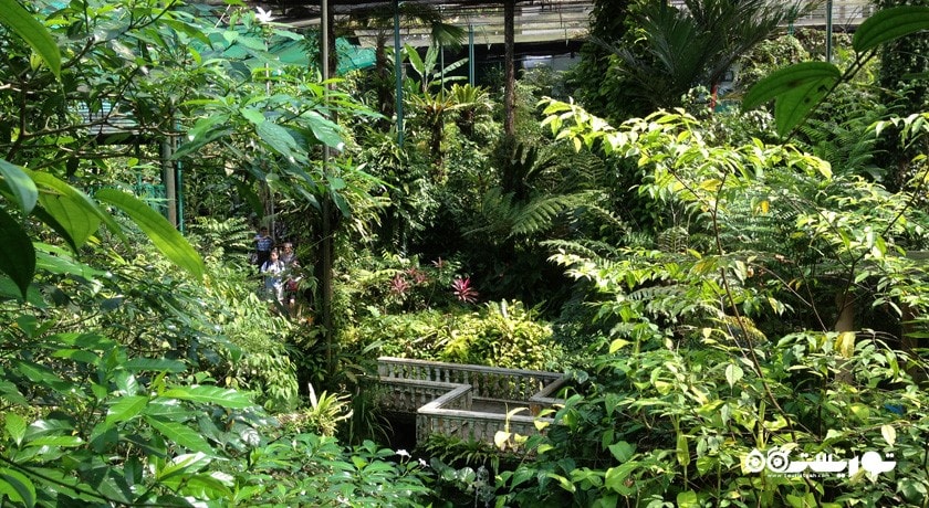  باغ پروانه کوالالامپور شهر مالزی کشور کوالالامپور