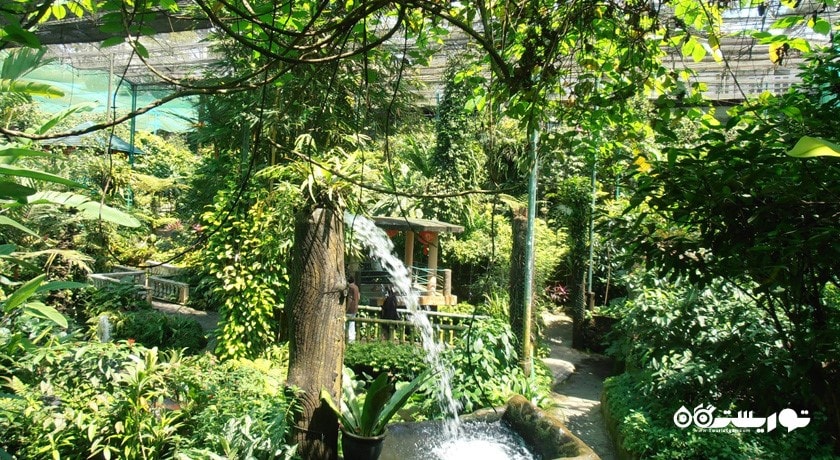  باغ پروانه کوالالامپور شهر مالزی کشور کوالالامپور