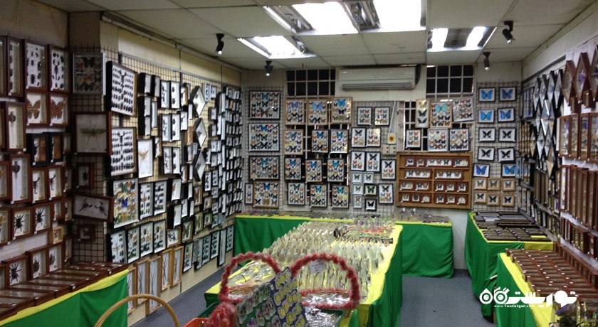  باغ پروانه کوالالامپور شهر مالزی کشور کوالالامپور