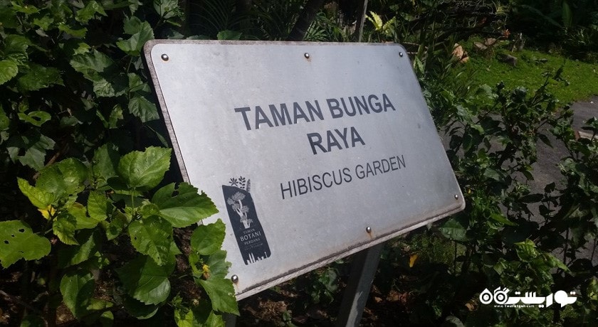  باغ هبیسکوس کوالالامپور (هبیسکوس گاردن) شهر مالزی کشور کوالالامپور