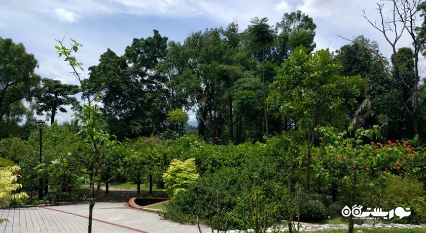 باغ هبیسکوس کوالالامپور (هبیسکوس گاردن) -  شهر کوالالامپور