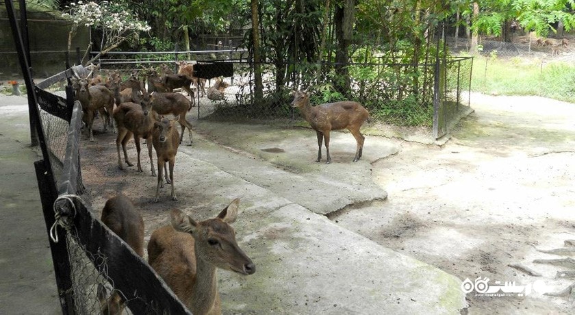 پارک گوزن کوالالامپور -  شهر کوالالامپور