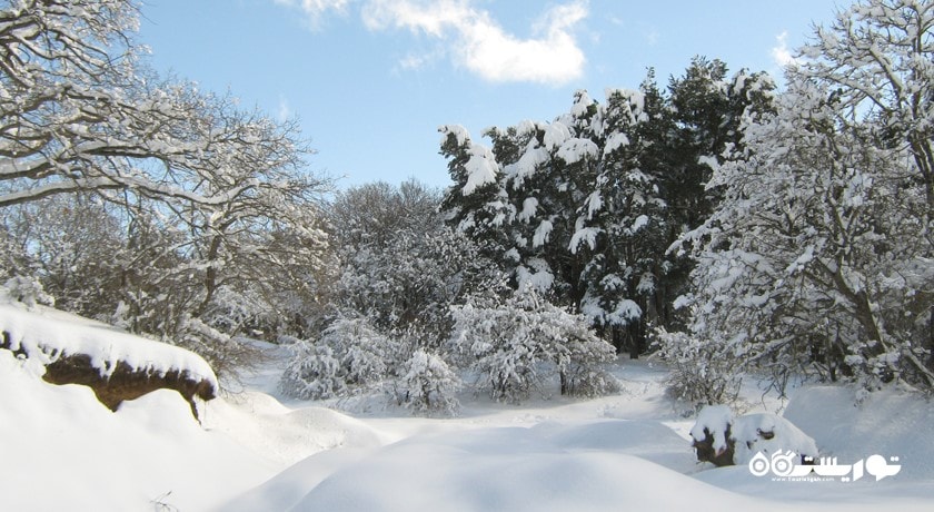  کجوری شهر گرجستان کشور تفلیس