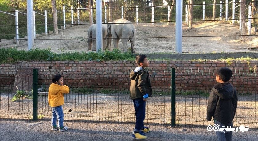 سرگرمی باغ وحش تفلیس شهر گرجستان کشور تفلیس