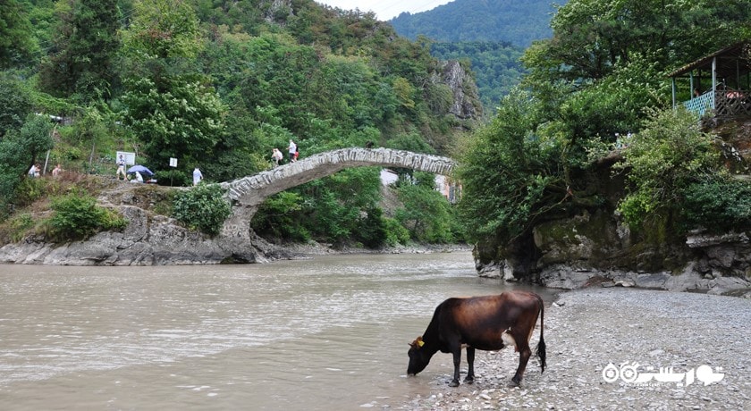  پل ماخونتستی شهر گرجستان کشور باتومی