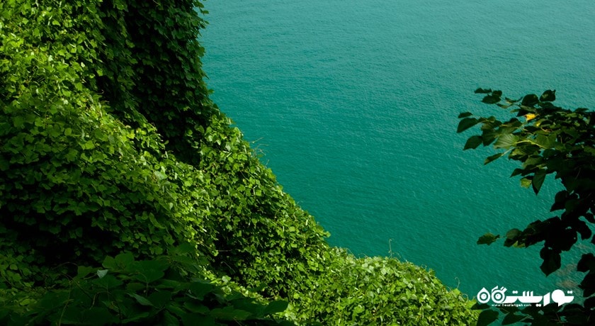 سرگرمی ساحل سوین کونتسکی شهر گرجستان کشور باتومی