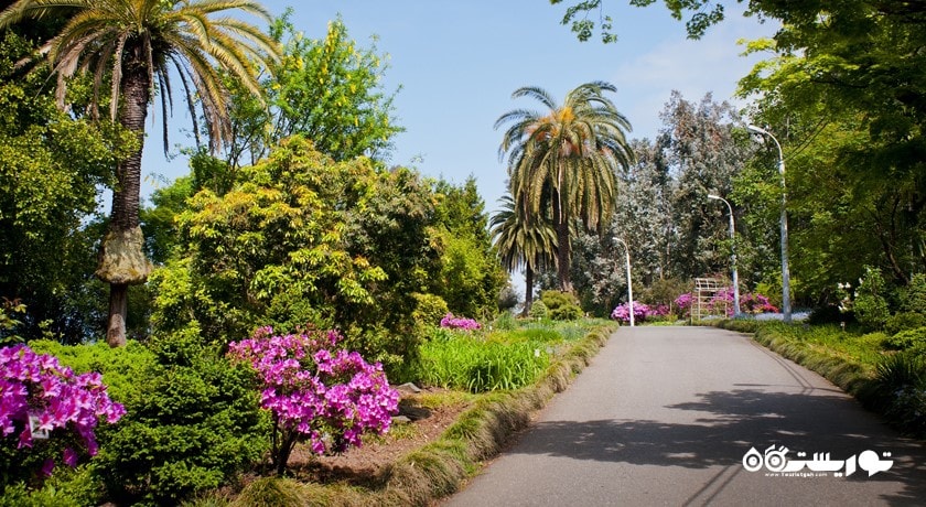 سرگرمی باغ گیاه شناسی باتومی شهر گرجستان کشور باتومی