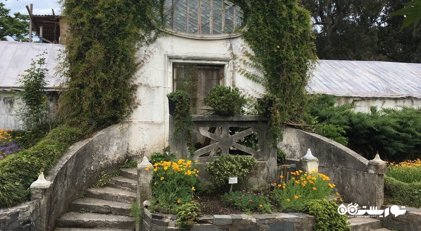 سرگرمی باغ گیاه شناسی باتومی شهر گرجستان کشور باتومی