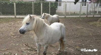 سرگرمی باغ وحش باتومی شهر گرجستان کشور باتومی