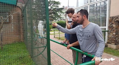 سرگرمی باغ وحش باتومی شهر گرجستان کشور باتومی