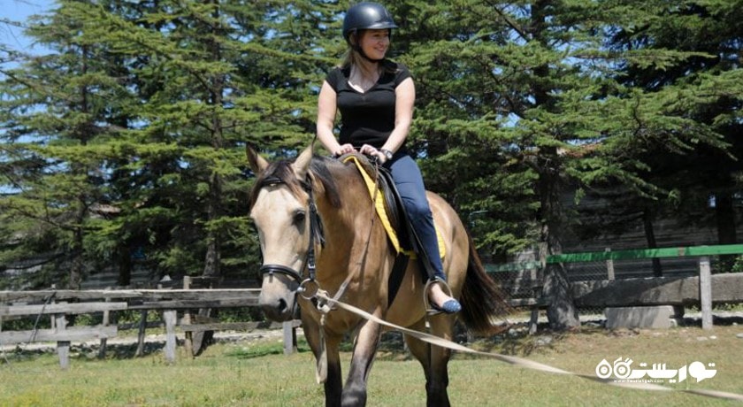 سرگرمی باشگاه سوارکاری باتومی شهر گرجستان کشور باتومی
