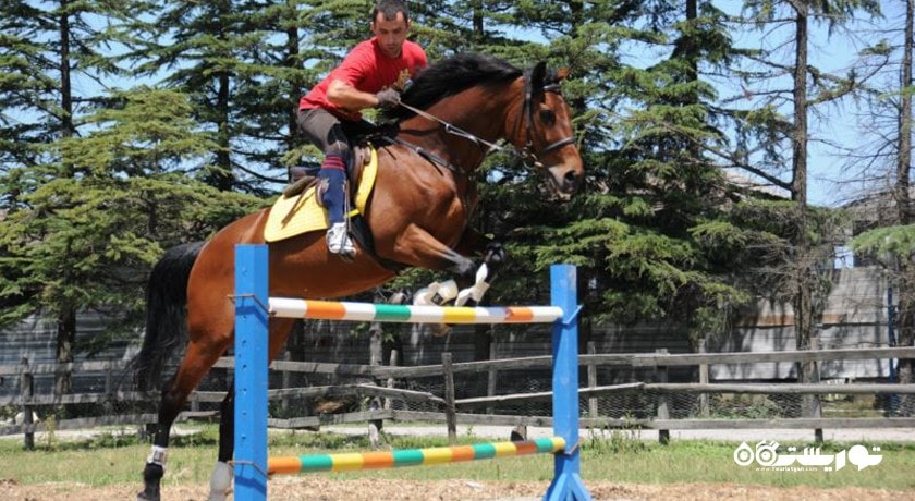 سرگرمی باشگاه سوارکاری باتومی شهر گرجستان کشور باتومی