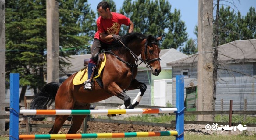 سرگرمی باشگاه سوارکاری باتومی شهر گرجستان کشور باتومی