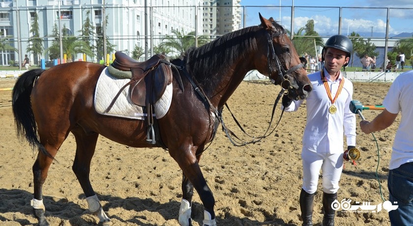 سرگرمی باشگاه سوارکاری باتومی شهر گرجستان کشور باتومی