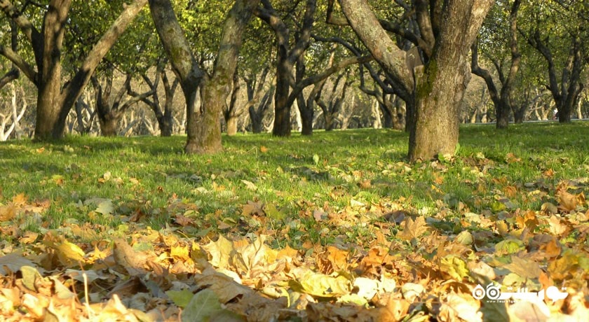  موزه معماری و تاریخی کولومنسکویه شهر روسیه کشور مسکو