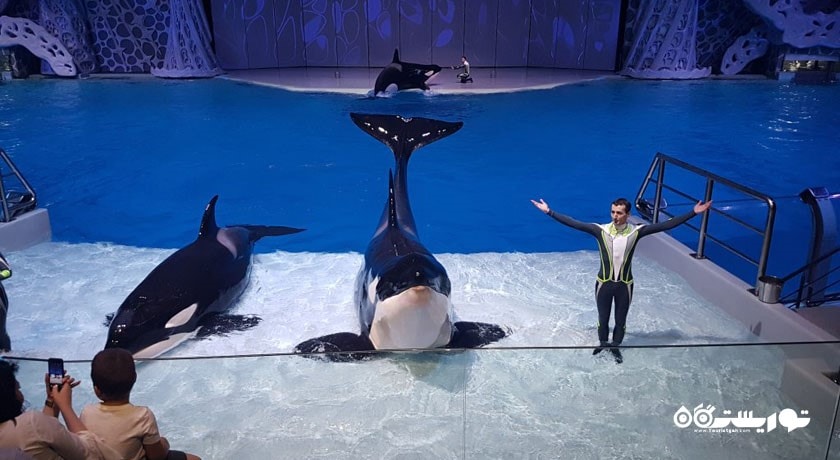 سرگرمی آکواریوم مسکوواریوم شهر روسیه کشور مسکو