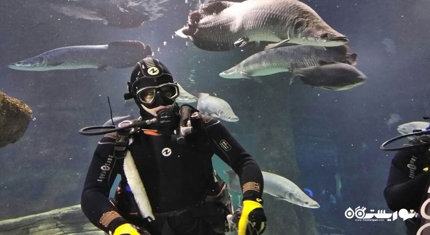 آکواریوم مسکوواریوم -  شهر مسکو