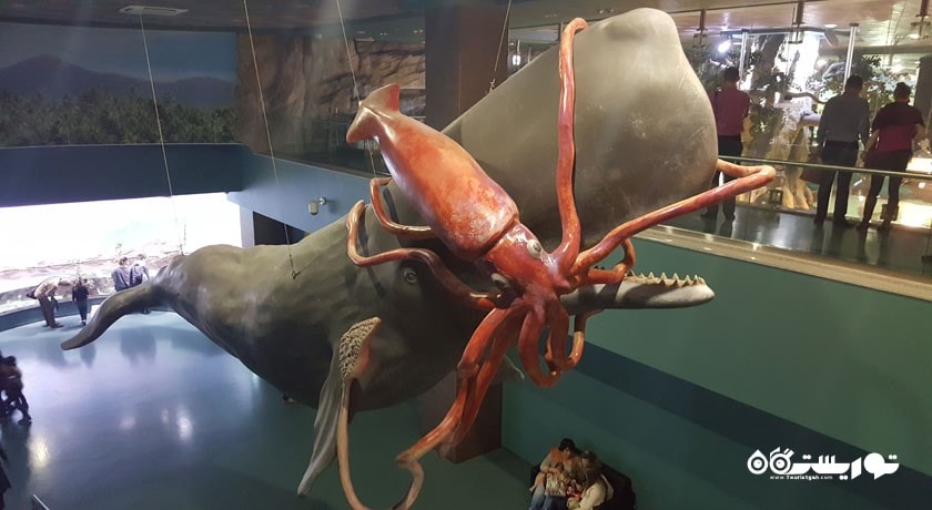 آکواریوم مسکوواریوم -  شهر مسکو