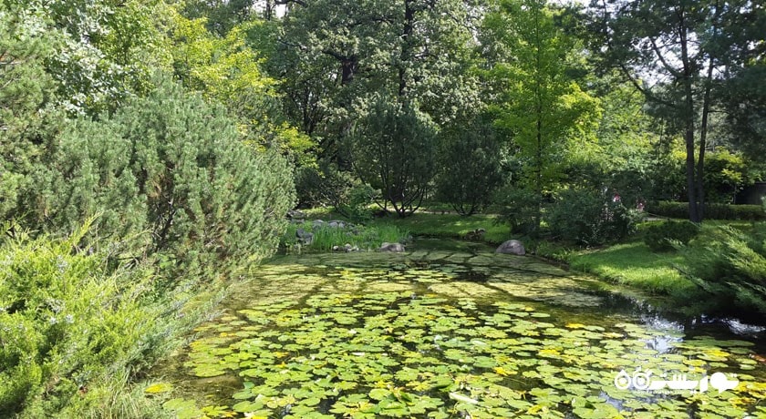 باغ گیاه شناسی آکادمی علوم -  شهر مسکو