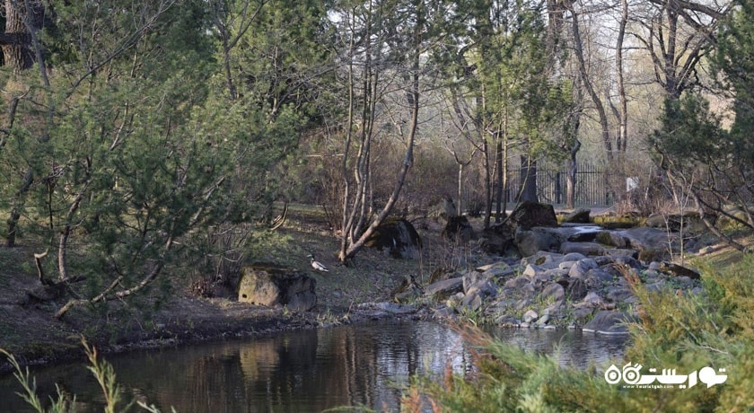 باغ گیاه شناسی آکادمی علوم -  شهر مسکو