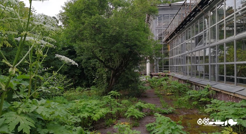 باغ گیاه شناسی آکادمی علوم -  شهر مسکو