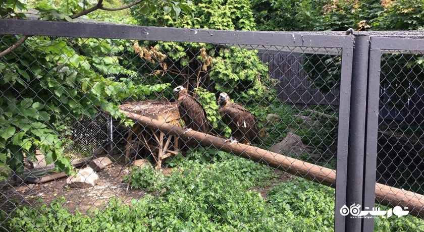 سرگرمی باغ وحش مسکو شهر روسیه کشور مسکو