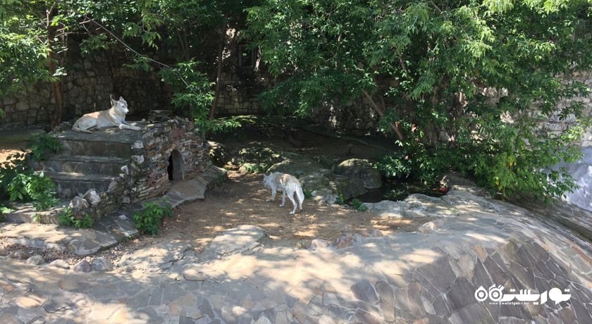 باغ وحش مسکو -  شهر مسکو