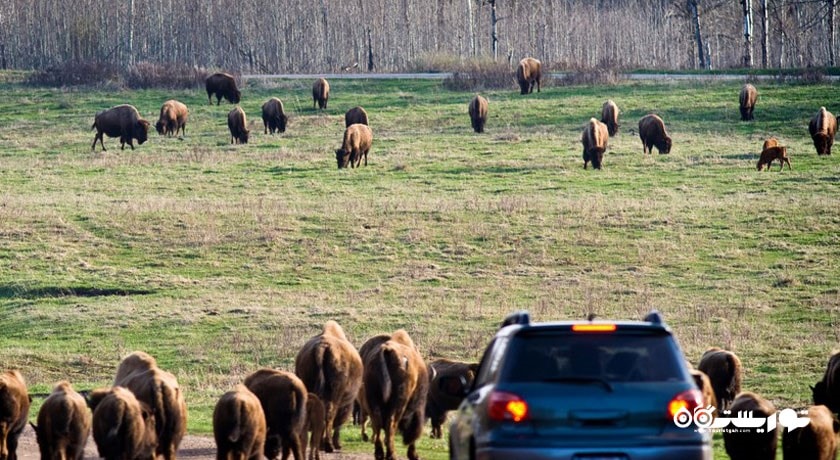 سرگرمی الک آیلند نشنال پارک شهر روسیه کشور مسکو