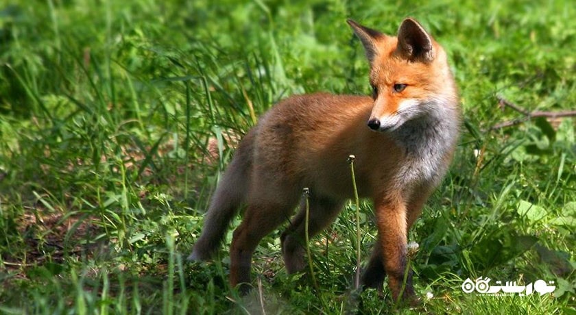 الک آیلند نشنال پارک -  شهر مسکو