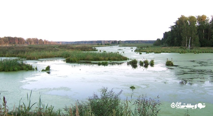 الک آیلند نشنال پارک -  شهر مسکو