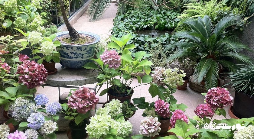 باغ گیاه شناسی سن پترزبورگ -  شهر سن پترزبورگ