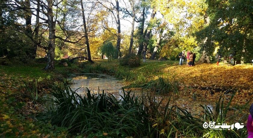 باغ گیاه شناسی سن پترزبورگ -  شهر سن پترزبورگ