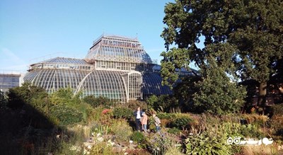 باغ گیاه شناسی سن پترزبورگ -  شهر سن پترزبورگ