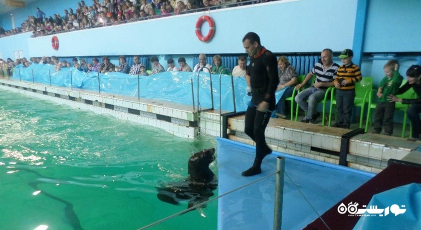 دلفیناریوم سن پترزبورگ -  شهر سن پترزبورگ