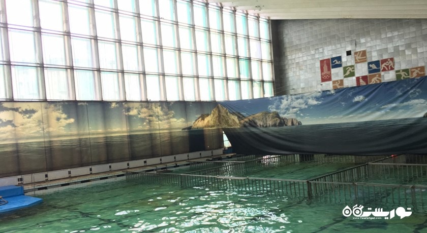 دلفیناریوم سن پترزبورگ -  شهر سن پترزبورگ