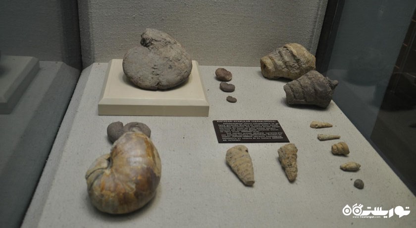  موزه باستان شناسی آنتالیا   شهر ترکیه کشور آنتالیا