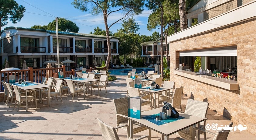 پول بار ادالت هتل وویج بلک