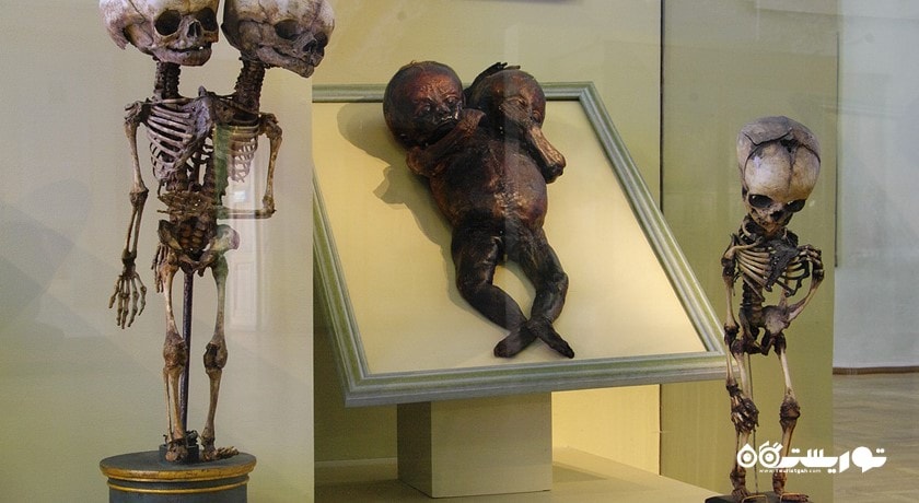  کانست کامرا (موزه انسان شناسی و قوم شناسی) شهر روسیه کشور سن پترزبورگ