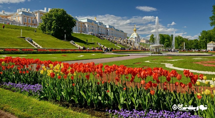  کاخ موزه و باغ پترهوف شهر روسیه کشور سن پترزبورگ