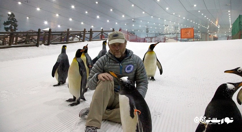 سرگرمی اسکی دبی شهر امارات متحده عربی کشور دبی