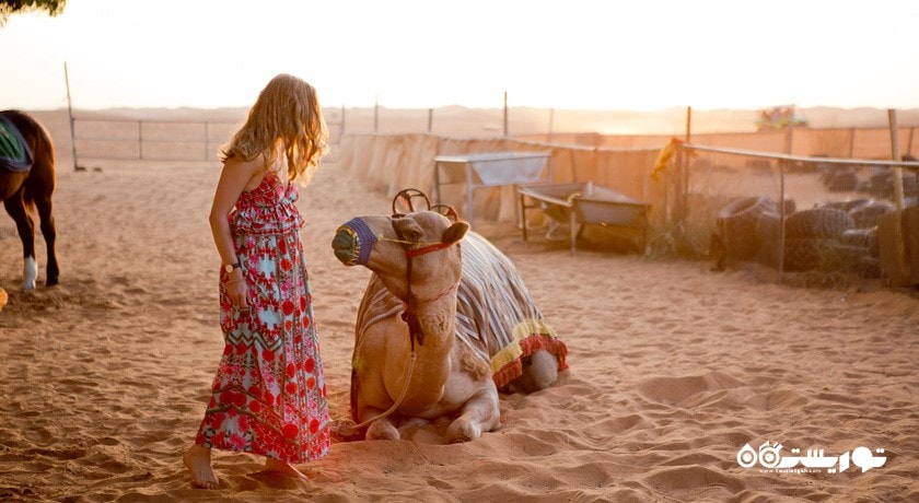 سرگرمی سافاری در کویر دبی شهر امارات متحده عربی کشور دبی