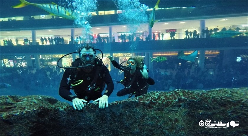 سرگرمی غواصی در دبی شهر امارات متحده عربی کشور دبی
