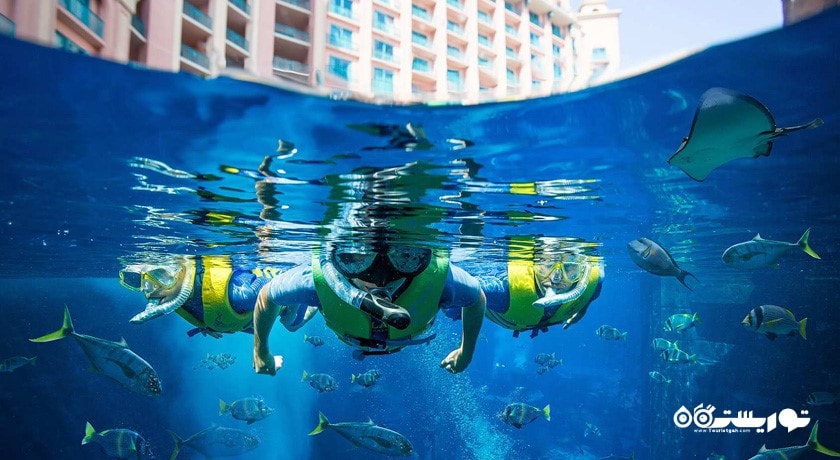 غواصی در دبی -  شهر دبی